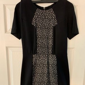 French Connection. Gorgeous panel dress. SZ8 NWT!